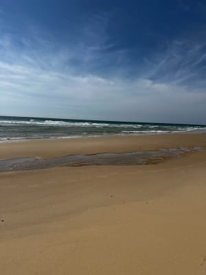 Le Porge Océan et sa plage - Le Porge - 8