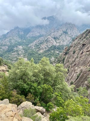 Forêt de Bonifatu par Punta di Ficaghiola - Calenzana - 10