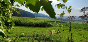 Sentier de la Haute Vallée de la Lawe - Beugin - 23