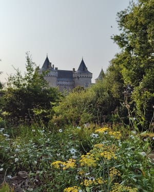 Balade autour du Château de Suscinoo - Sarzeau - 12