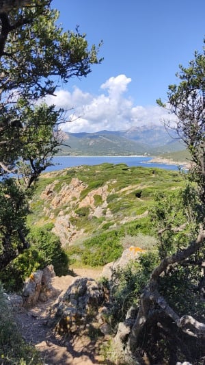 Boucle de la Punta d'Omigna - Cargèse - 33