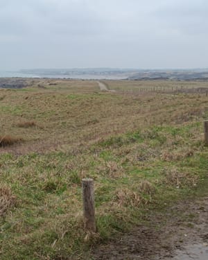 La pointe aux Oies vers la Pointe de la Rochette - Wimereux - 9