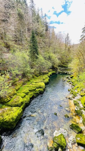 Découverte de la Bienne par Doye Gabet - Hauts-de-Bienne - 18