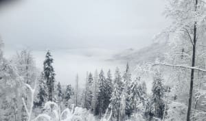 Balade forestière au lac de Freydières - Revel - 22