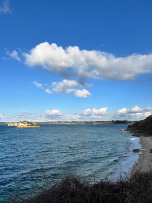 Tronçon GR34 de Carantec, par la Pointe de Penn al Lann - Sophie - 37