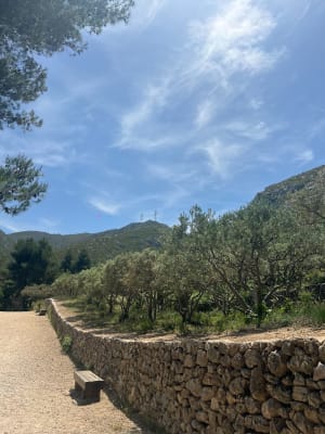 Bruyèrespark. Prachtig uitzicht op Marseille - Marseille - 5