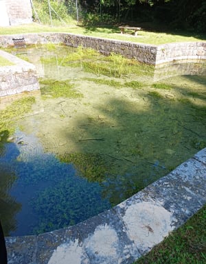 Plein d'oxygène et de vigueur sur les sentiers d'Elan - Elan (commune de Flize) - 5