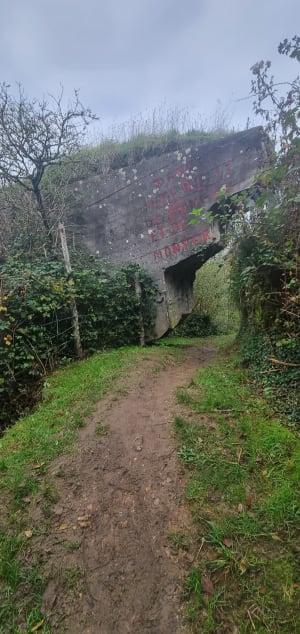 Belle Balade en famille sur le sentier du Fartz de Wissant - Wissant - 44