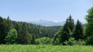 Gemakkelijke route van Château Julien en zijn prachtige panorama - Villard de Lans - 8