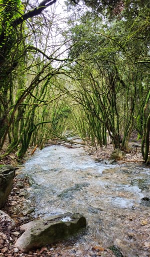 De boogbeek Vallon-Pont-d'Arc en de waterval van Pissevieille - Vallon-Pont-d'Arc - 112