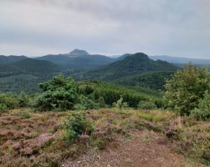 Puys de Jumes, de la Coquille en des Gouttes - Saint-Ours - 4