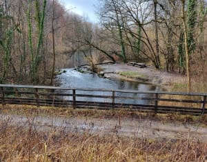 Forêt de la Robertsau, entre eau et vieilles pierres - Robertsau - 9