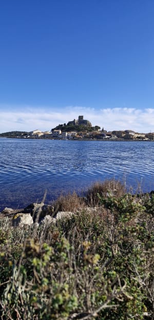 Tour de l'étang de Gruissan et Capoulade - Gruissan - 8