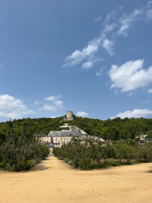 Boucle autour du château de La Roche-Guyon - La Roche-Guyon - 6
