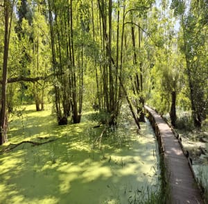 Gîtepark tussen Wavrin en Santes - Wavrin - 15