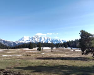 Rondleiding over het Arselle-plateau - Chamrousse - 6