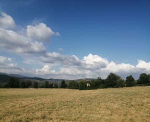 Charmes du sud, entre Apt et Saignon - Apt - 3