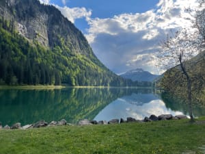Tour du lac de Montriond et la jolie cascade d’Ardent - Montriond - 42