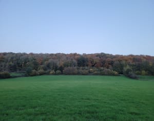 Balade au départ de Fierville les Parcs - Fierville-les-Parcs - 11
