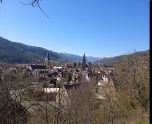Randonnée dans les hauteurs de Munster et Gunsbach - Munster - 3