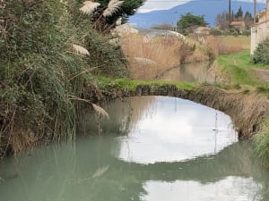 Canal de Carpentras - Carpentras - 5
