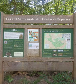 De Bossapas-wandeling - Chaville - 10