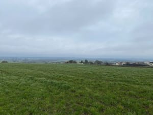 Belle balade au village du Mésnil par l'étang de la Grand Fosse - Mauges-sur-Loire - 5
