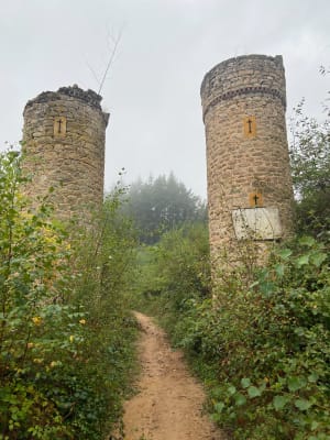 Les Cols de la Luère et de la Croix du Ban - Courzieu - 15