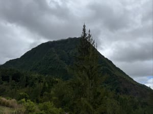 Pyton d'Anchaing - Salazie - 22