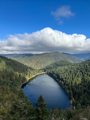 Raven Lake en zijn uitzichtpunt - La Bresse - 117