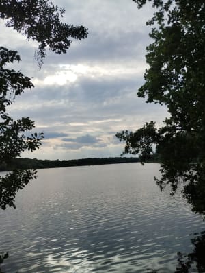 Rusałka  - spacer dokoła jeziora. - Poznań - 6