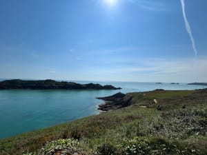 Cancale en de wilde bewoners van de Pointe du Grouin - Cancale - 12