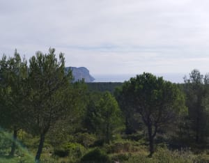Col de la Gardiole et évasion en garrigue - Cassis - 3