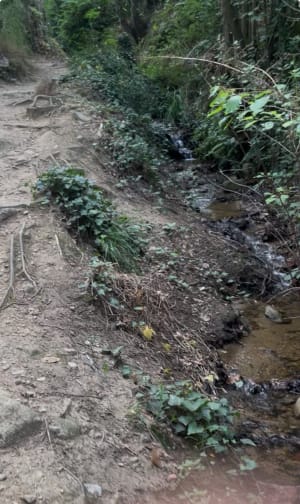 Au fil de l'eau de Laroque-des-Albères - Laroque-des-Albères - 17