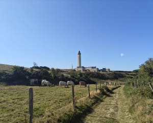 Etretat, Aiguille creuse et vertige bleu - Etretat - 8