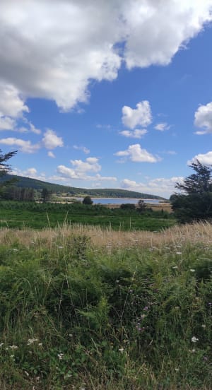 Autour du lac du Saut de Vésoles à VTT - Fraisse-sur-Agout - 6