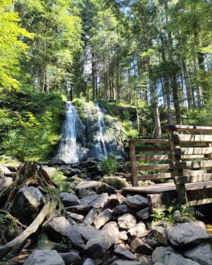 De la Croix des Hêtres aux cascades de la Pissoire - Vagney - 9