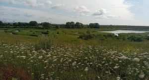 Petite randonnée Parc par accès 13 - Saint-Georges-sur-l'Aa - 7