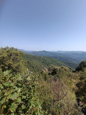 Boslus rond de Vis-waterval - Saint-Laurent-le-Minier - 22