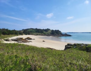 Randonnée sur les bancs de sable de Saint-Jacut-de-la-Mer - François - 3