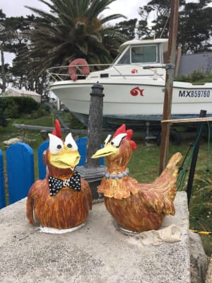 Grand tour de l'île de Batz et beauté de ses plages - Île de Batz - 77