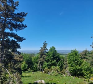 Au cœur de la nature sauvage, dans les tourbières de Lajo - Ronan - 2
