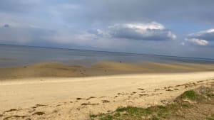 Petite sortie sur le littoral de Gujan-mestras - Gujan-Mestras - 2