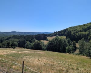 La Salvetat-sur-Agout: een topvakantie met een vleugje platteland - La Salvetat-sur-Agout - 11