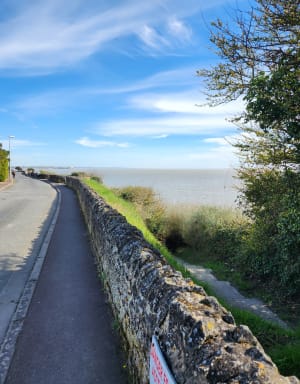 Balade sur le port et la corniche de Meschers-sur-Gironde - Meschers-sur-Gironde - 14