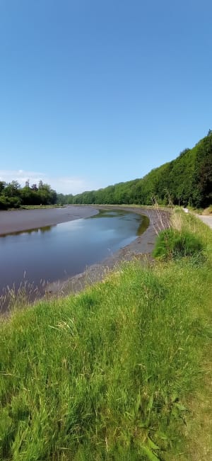 Au fil du Léguer depuis Lannion - Lannion - 9