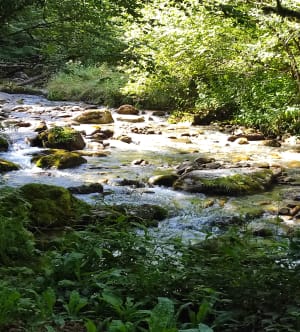 Cascade d'Arcouzan par la Vallée d'Estours - Seix - 16