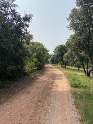 De Saint-Martin-de-la-Brasque, point à la vigne - Popine49 - 3
