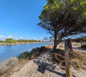 Kleine lus in Le Parc des Dosses - Le Barcarès - 20