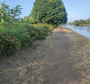 Boucle de Beuvry vers Chocques - Beuvry - 2